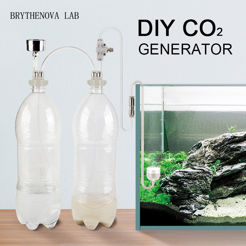 Planted Aquarium Moss - CO2 Generator Aquarium Planted Tank CO2