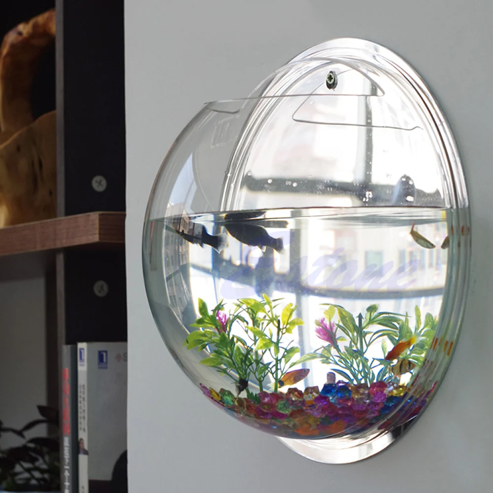 Aquarium Planted Wall - Wall Mounted Acrylic Fish Bowl Transparent