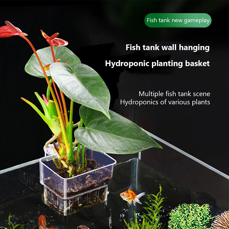 Aquarium Planted Wall - New【Hanging Aquarium Planter Cup Wall Mounted