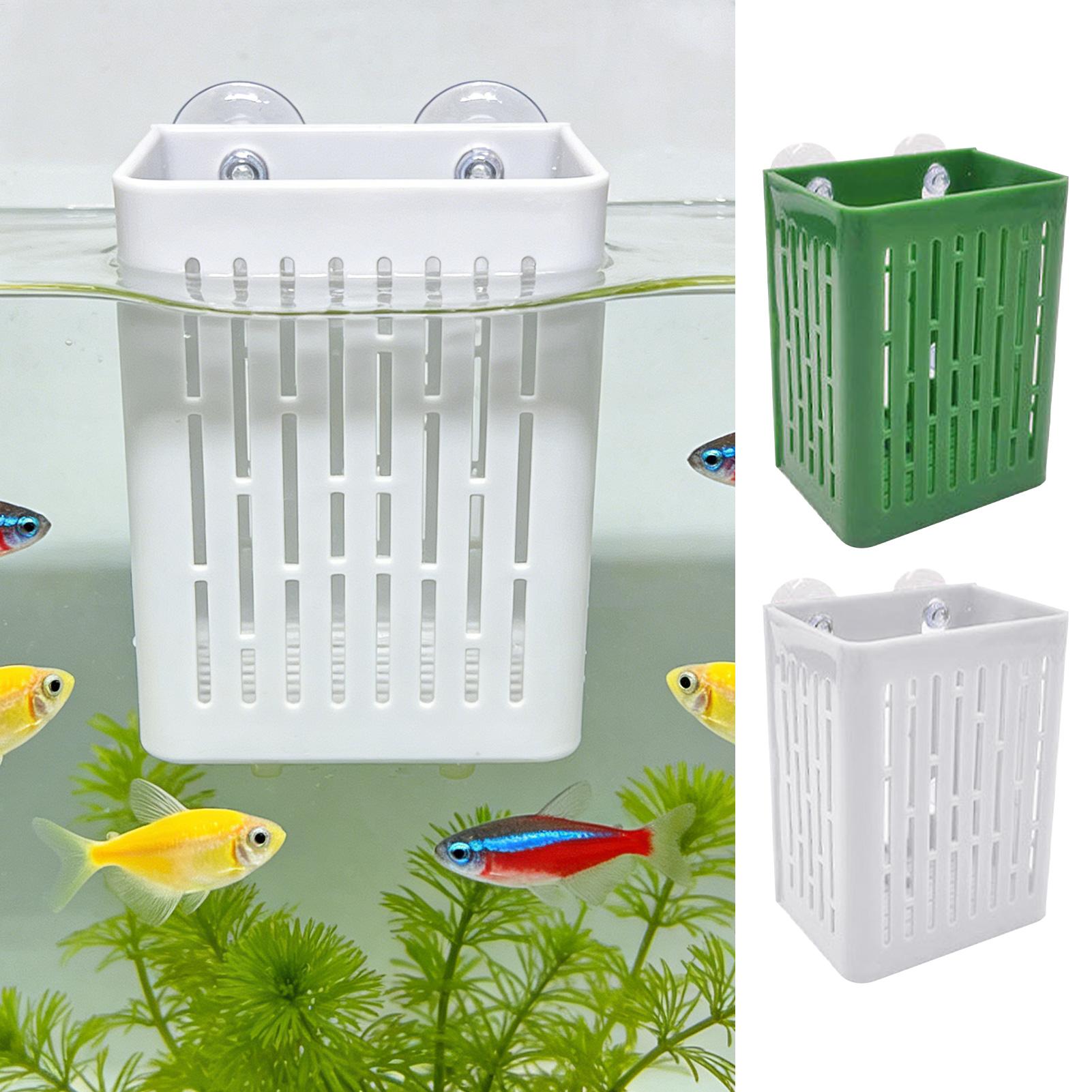 Planted Aquarium Aquascape - 5pcs Aquarium Plant Holder Fish Tanks