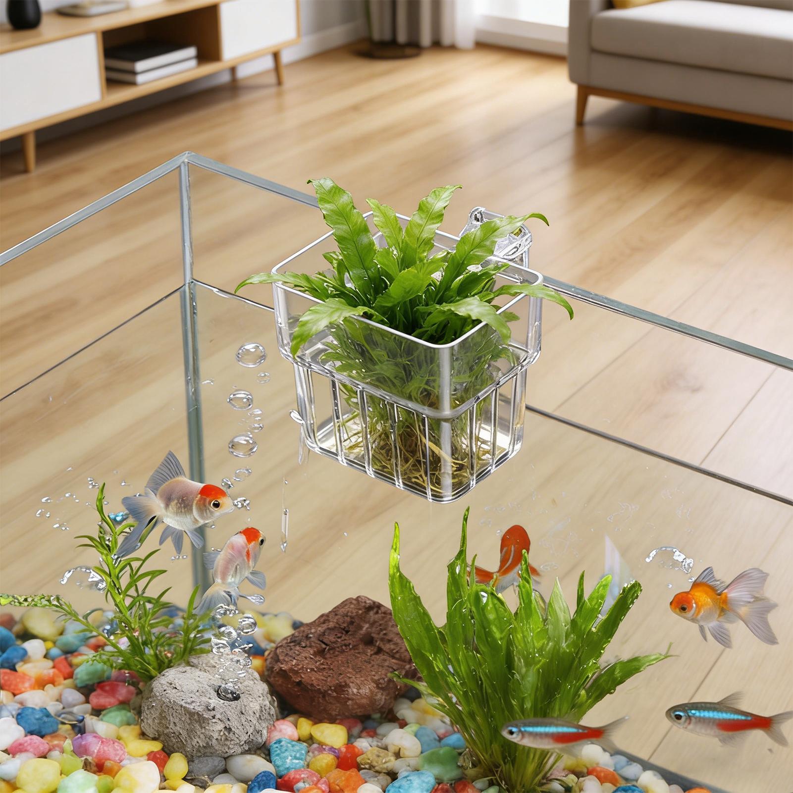 Aquarium Plant Holder - Fish Tank Fixed Basket Wall mounted