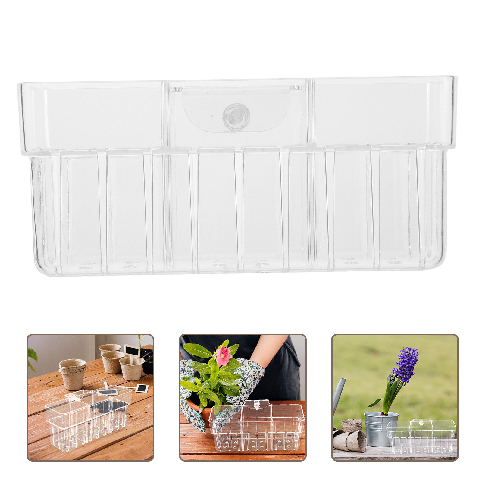 Aquarium Planted Wall - Clear Three Compartment Hydroponic Plant Basket