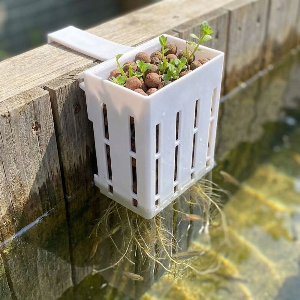 Aquarium Planted Wall - Wall-Mounted Aquarium Plant Basket Water Culture