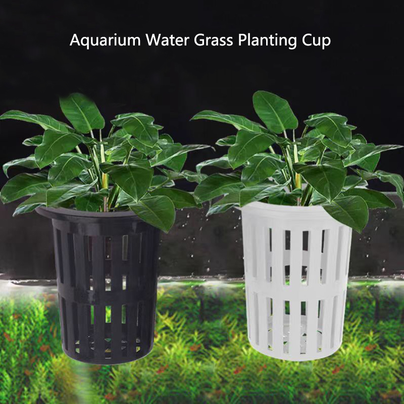 Aquarium Planted Wall - 1/3Pcs Aquarium Plant Basket Wall-Mounted Hydroponic