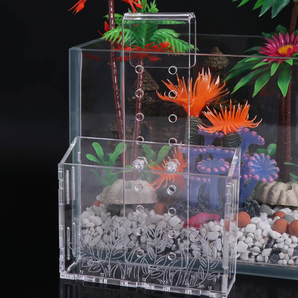 Aquarium Planted Wall - Wall Hanging Aquarium Plants Cup Transparent