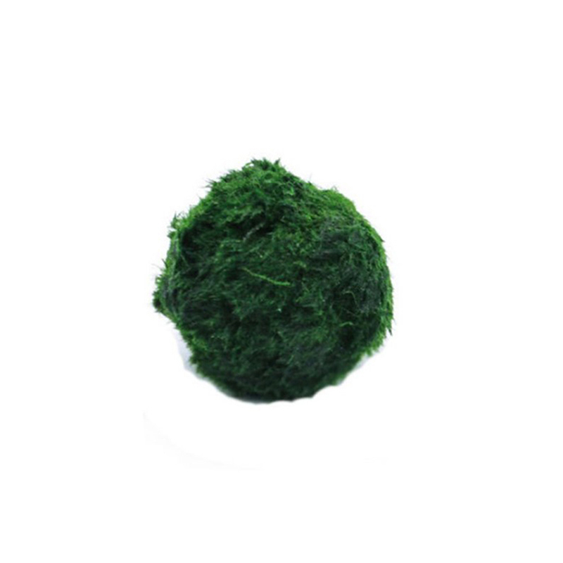 Aquarium Planted Tank Substrate - Live Marimo Moss Balls 3-4cm Green