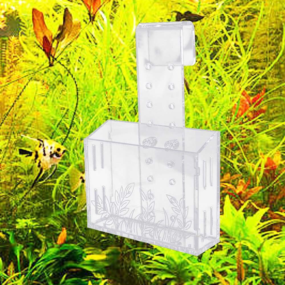 Wall Hanging Aquarium Plants C - Aquarium Planted Wall review and price