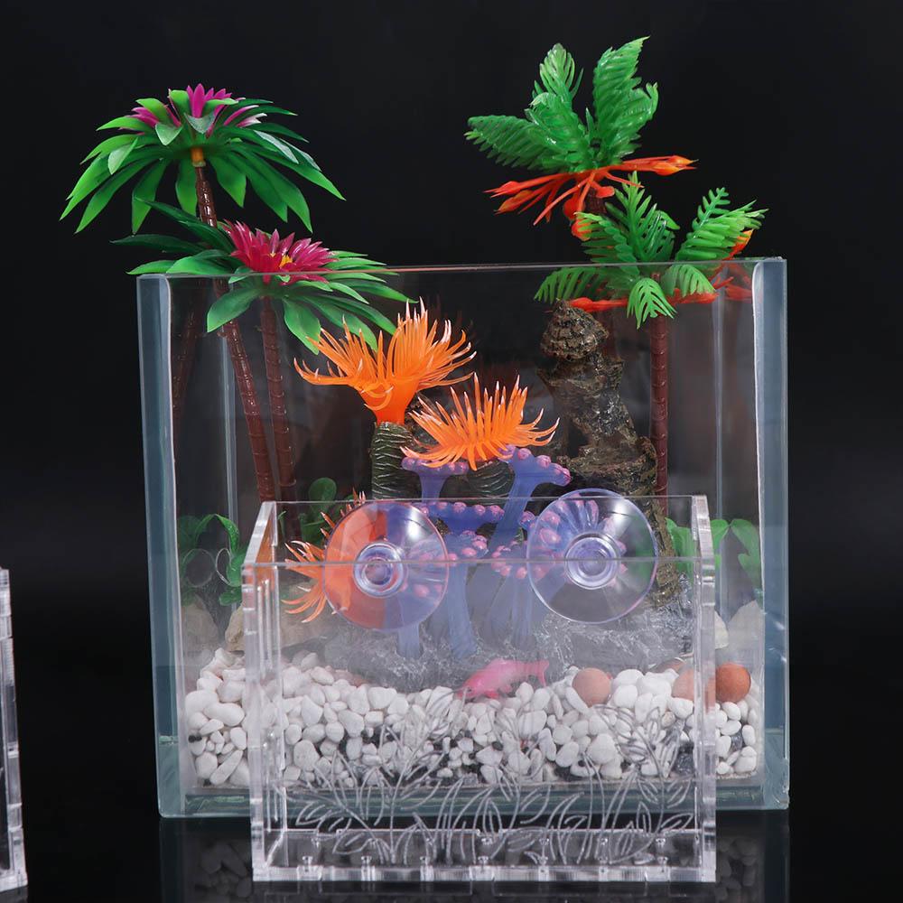 Wall Hanging Aquarium Plants C - Aquarium Planted Wall review and price