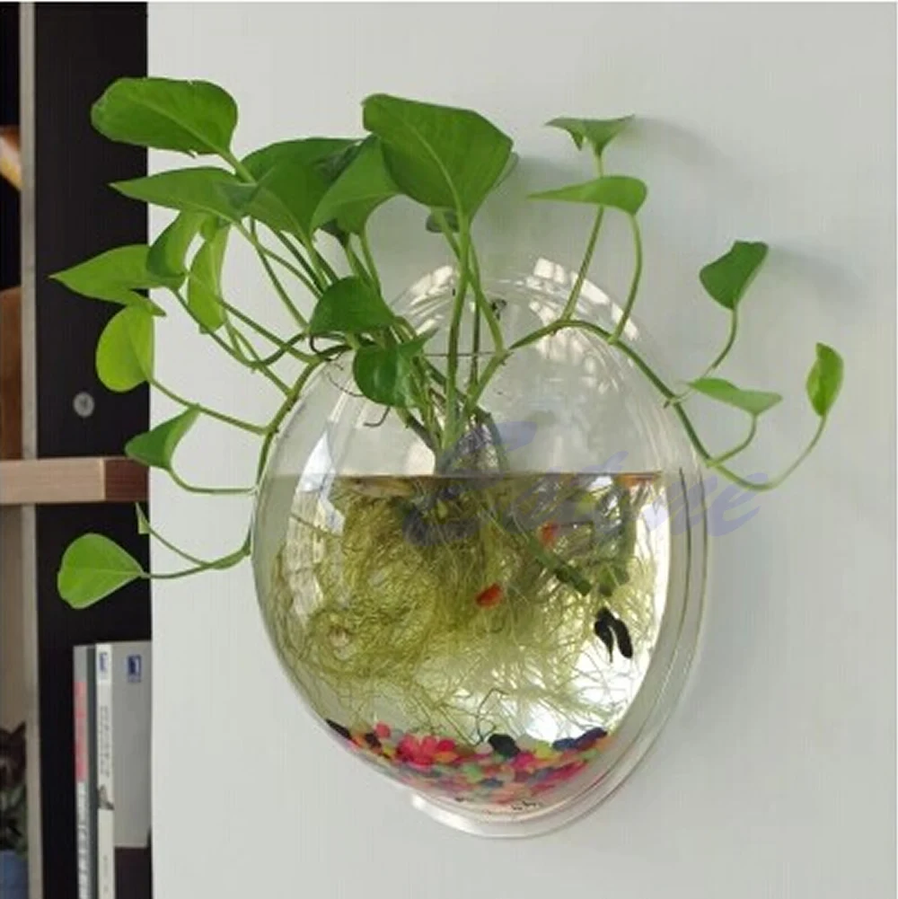 Wall Mounted Acrylic Fish Bowl - Aquarium Planted Wall review and price