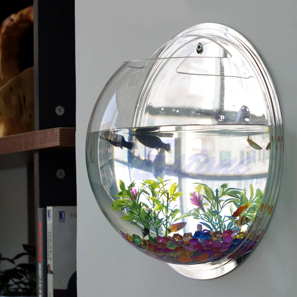 Wall Mounted Acrylic Fish Bowl - Aquarium Planted Wall review and price