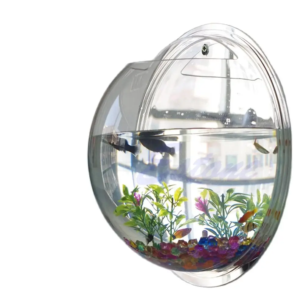 Wall Mounted Acrylic Fish Bowl - Aquarium Planted Wall review and price