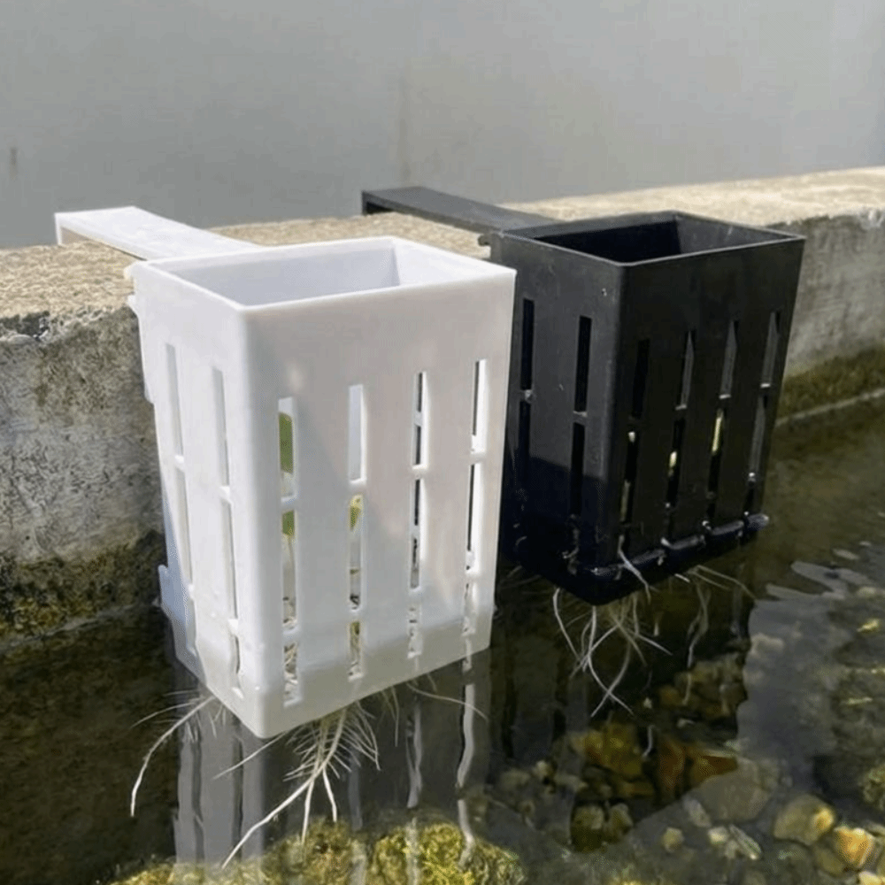 Wall-Mounted Aquarium Plant Ba - Aquarium Planted Wall review and price