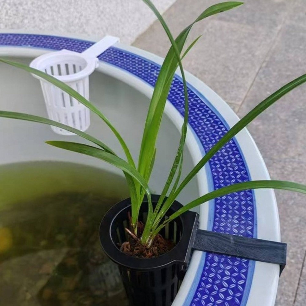 Wall-Mounted Aquarium Plant Ba - Aquarium Planted Wall review and price