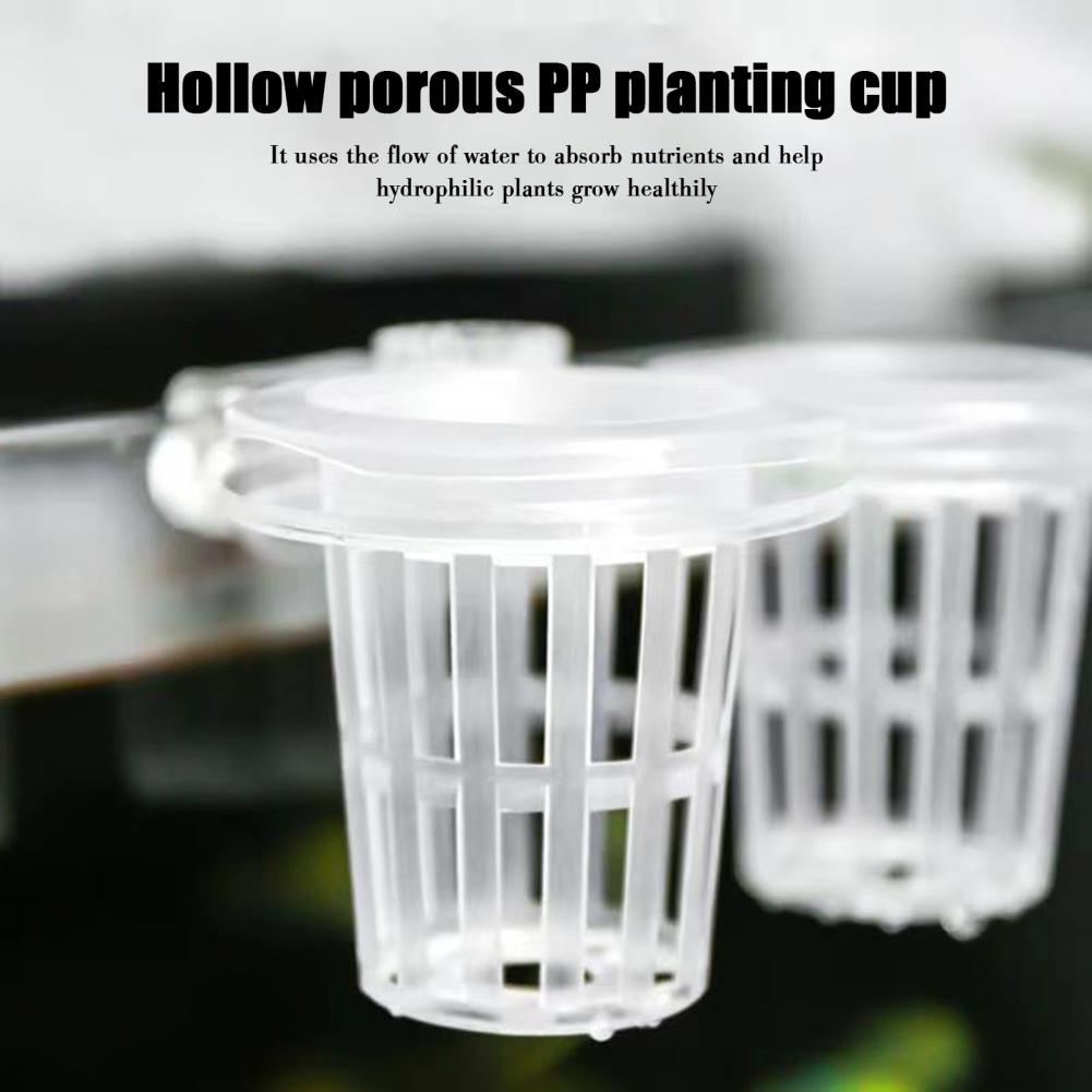 Aquarium Plant Holder Wall-Mou - Aquarium Planted Wall review and price