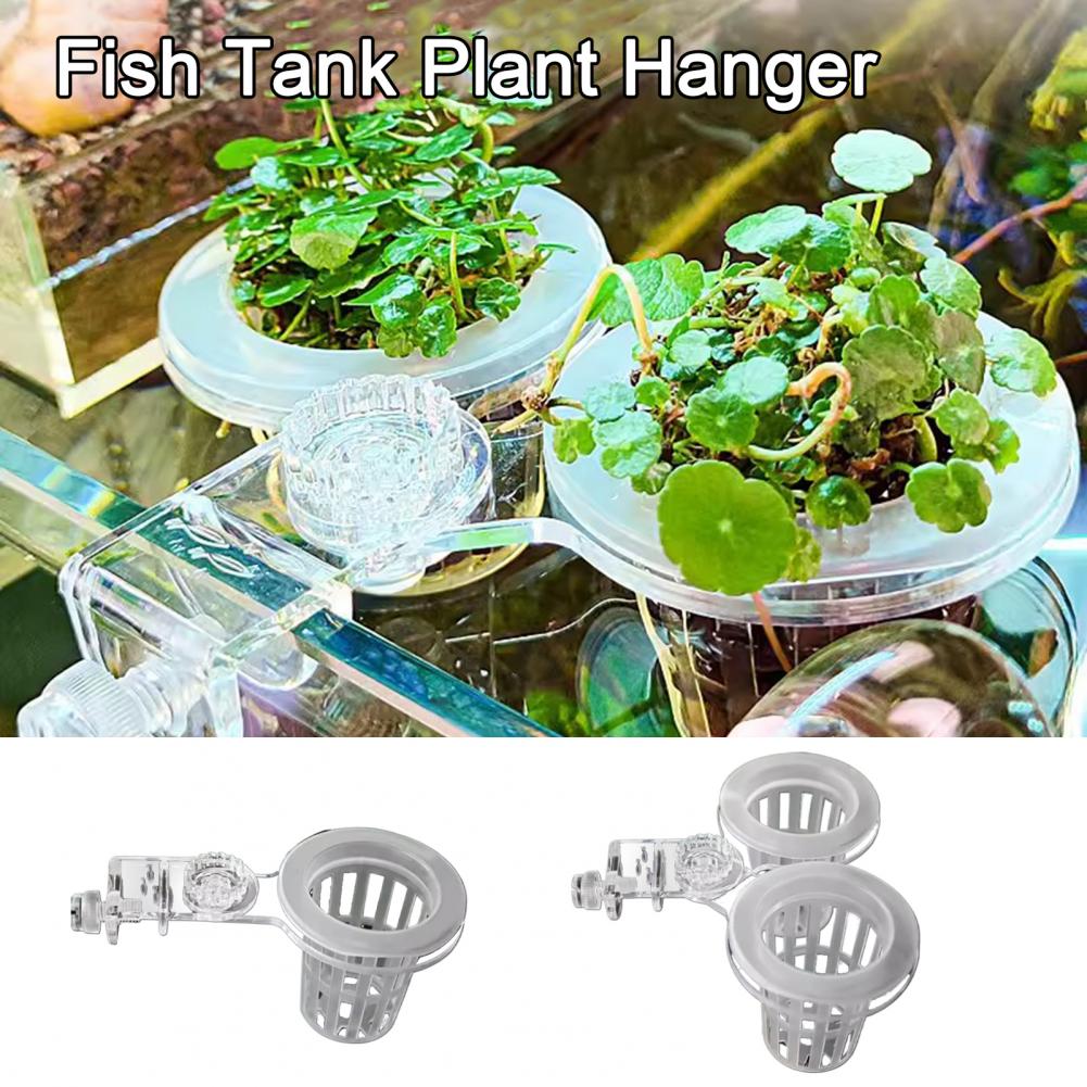 Aquarium Plant Holder Wall-Mou - Aquarium Planted Wall review and price