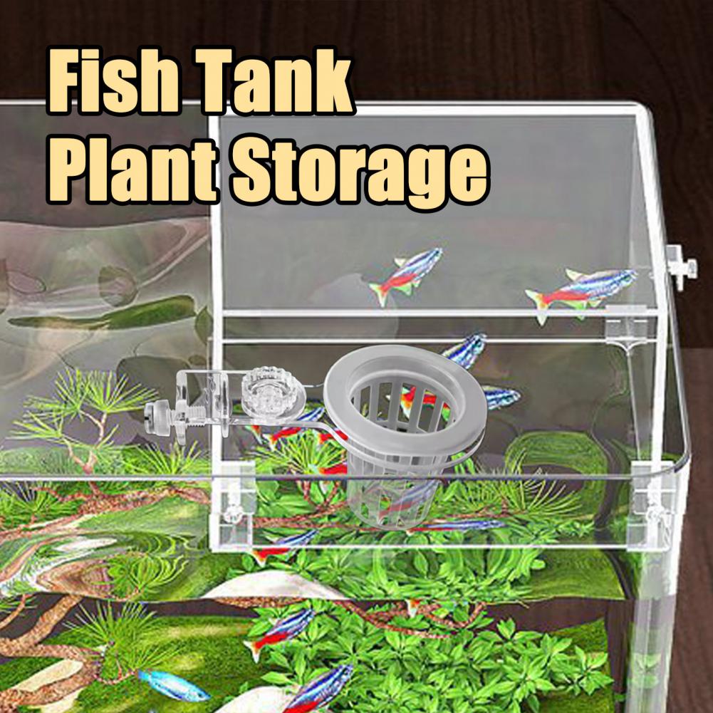 Aquarium Plant Holder Wall-Mou - Aquarium Planted Wall review and price