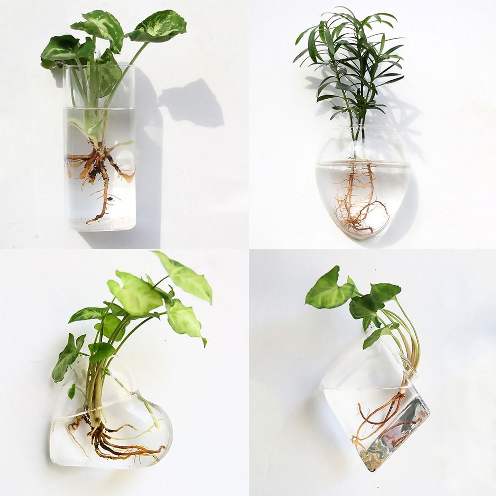 Cone Shape Wall Hanging Vase T - Aquarium Planted Wall review and price