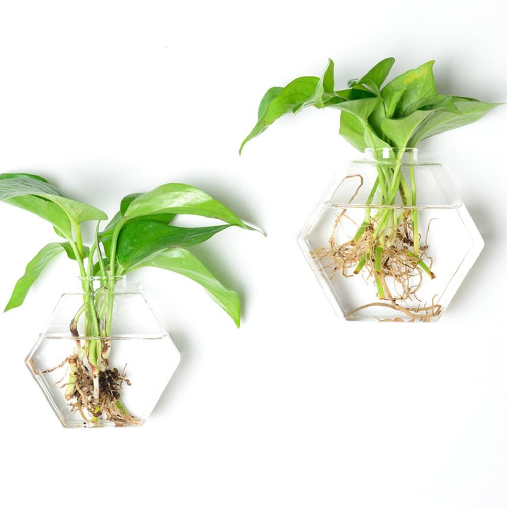 Cone Shape Wall Hanging Vase T - Aquarium Planted Wall review and price