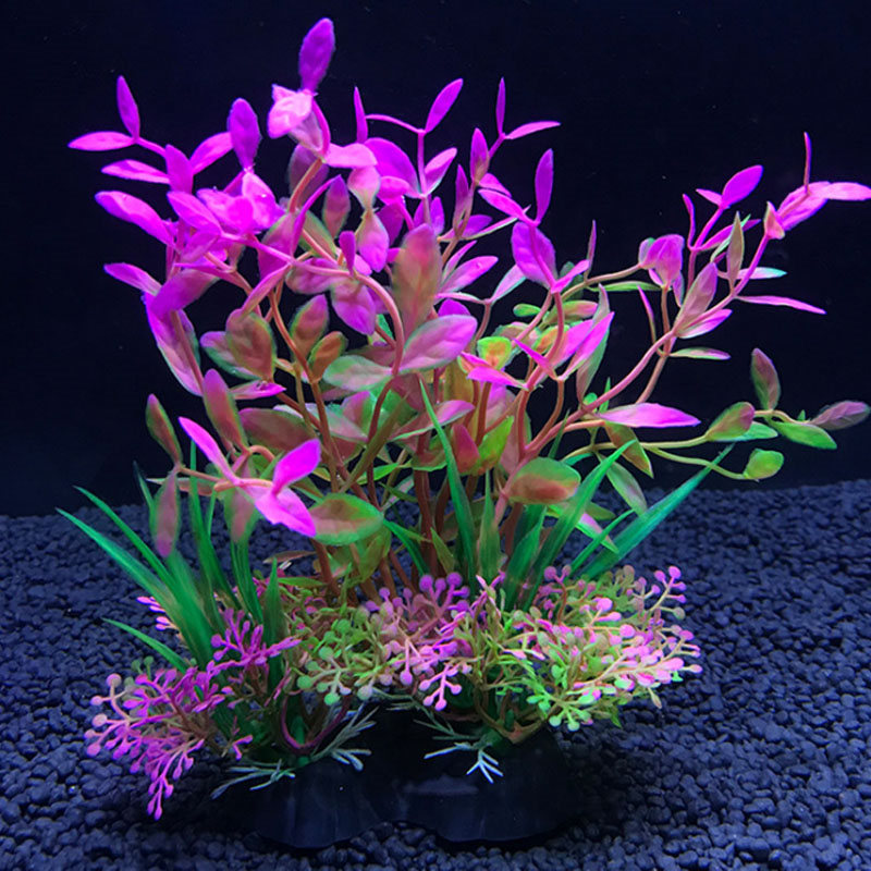 Aquarium decoration a variety  - Aquarium Plant Varieties review and price