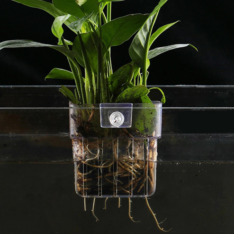 New【Hanging Aquarium Planter C - Aquarium Planted Wall review and price
