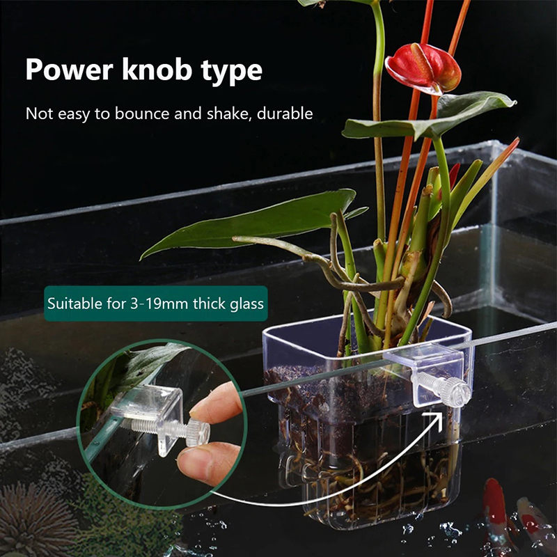 New【Hanging Aquarium Planter C - Aquarium Planted Wall review and price