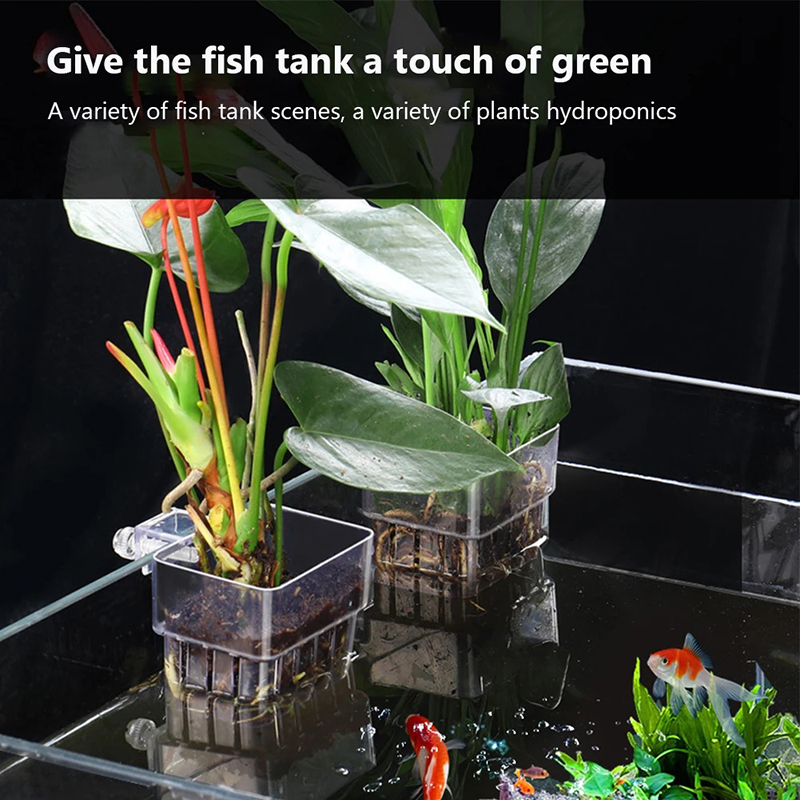New【Hanging Aquarium Planter C - Aquarium Planted Wall review and price