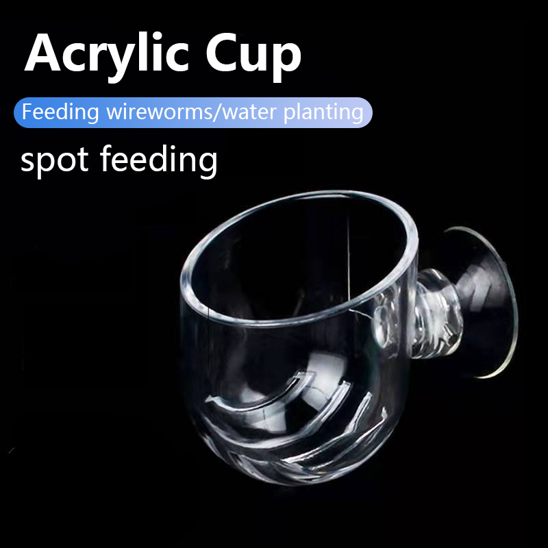 Aquarium Decoration Plant Cup  - Planted Aquarium Products review and price