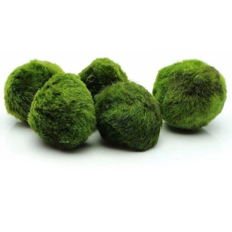 1Pcs 3-4cm Moss Balls Live Aqu - Aquarium Planted Tank Substrate review and price