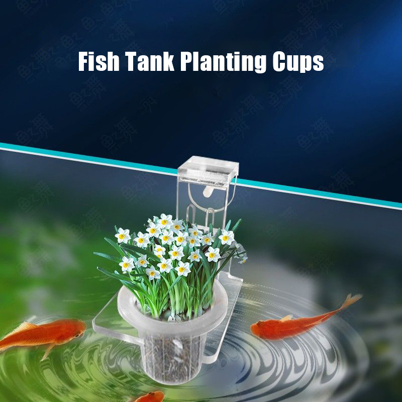 Fish Tank Planting Cups Hydrop - Aquarium Planted Wall review and price