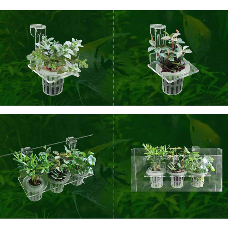 Fish Tank Planting Cups Hydrop - Aquarium Planted Wall review and price
