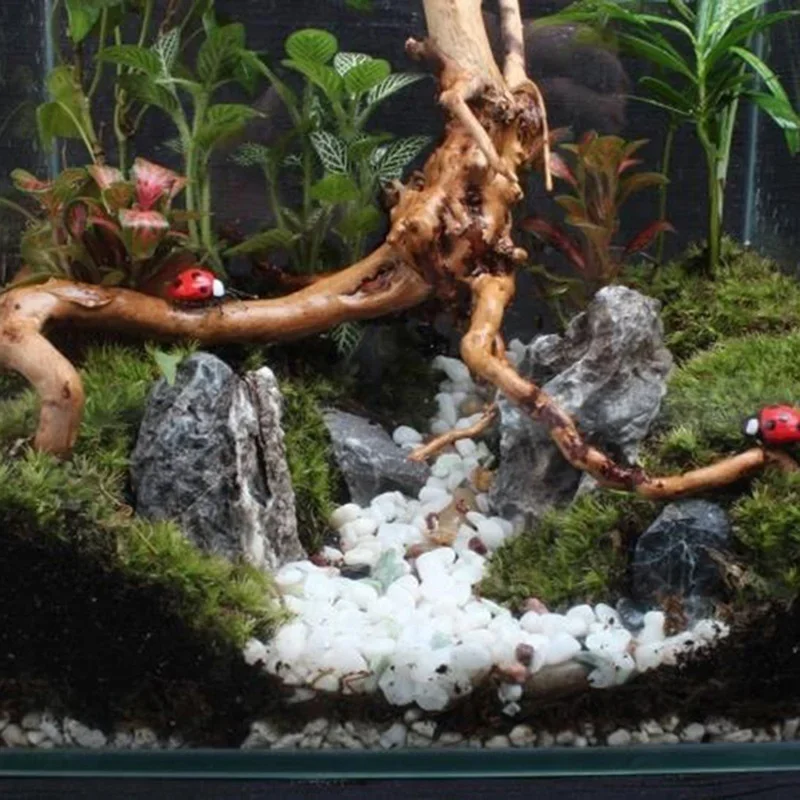 Natural Tree Trunk Driftwood A - Planted Aquarium Media review and price