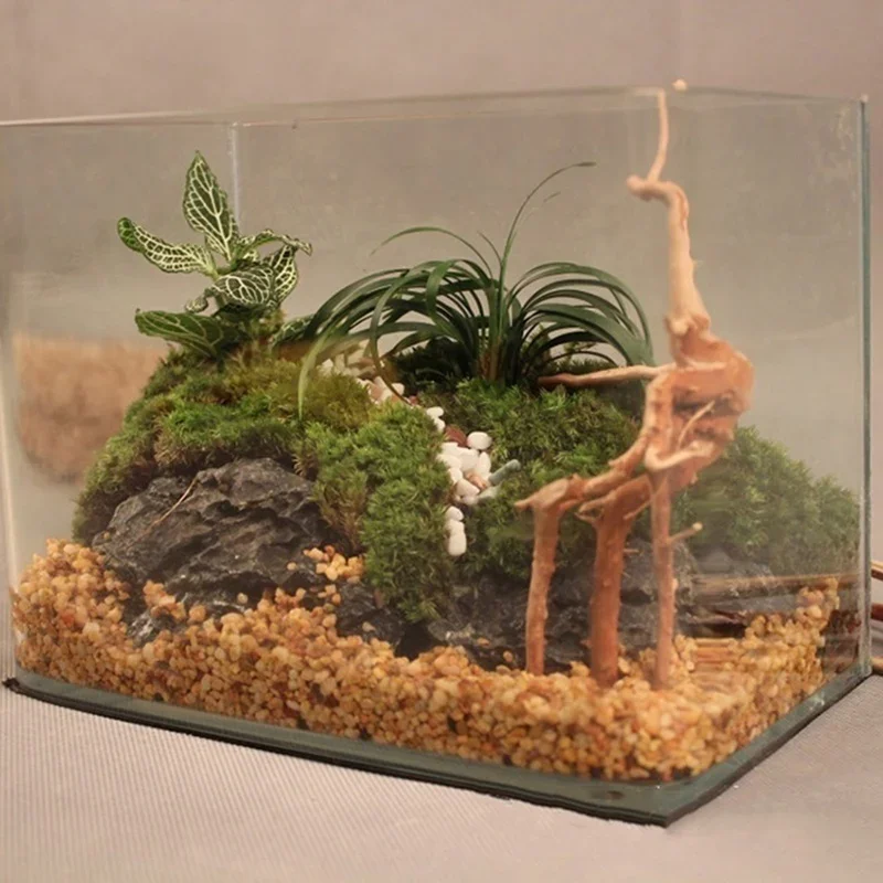 Natural Tree Trunk Driftwood A - Planted Aquarium Media review and price