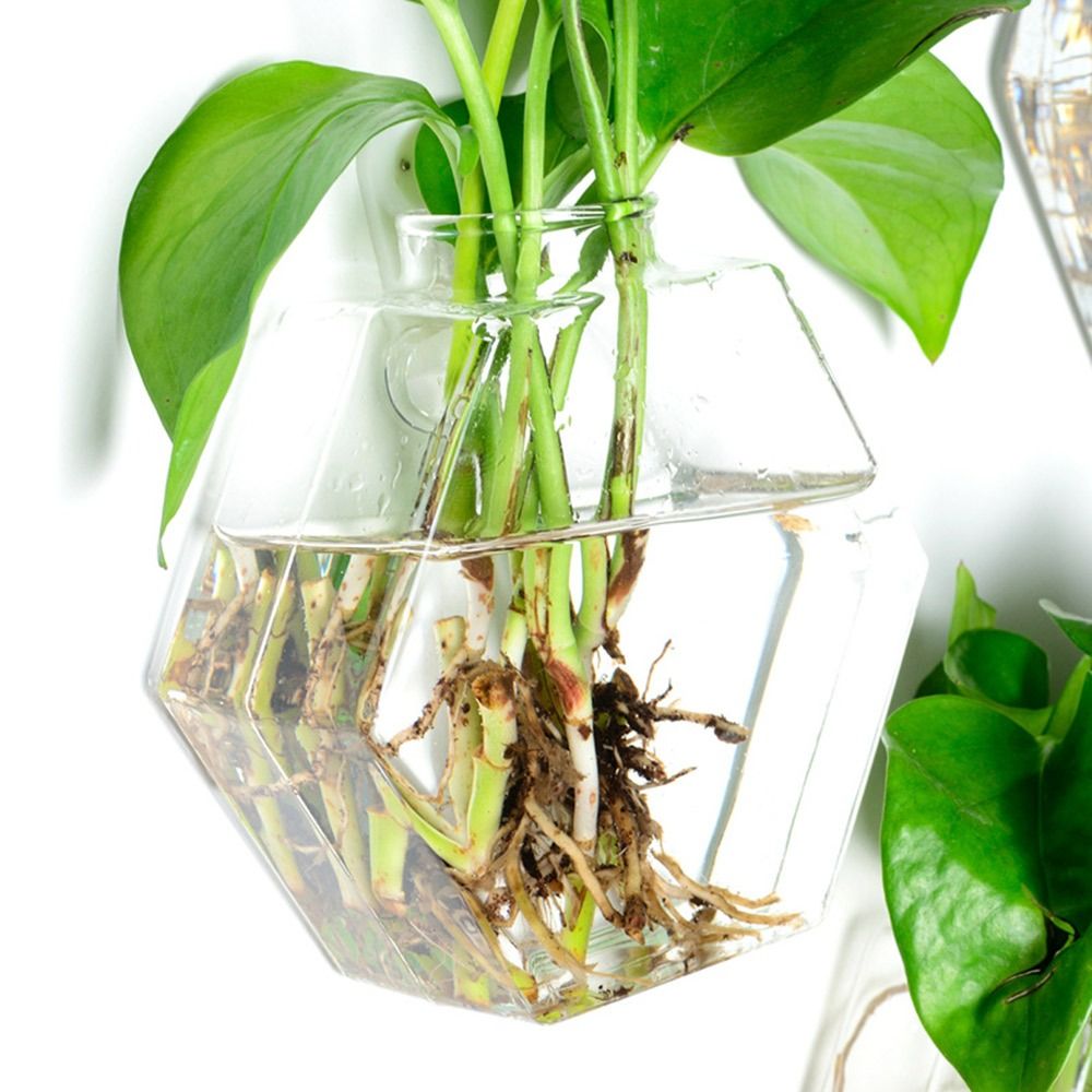 Cone Shape Wall Hanging Vase H - Aquarium Planted Wall review and price