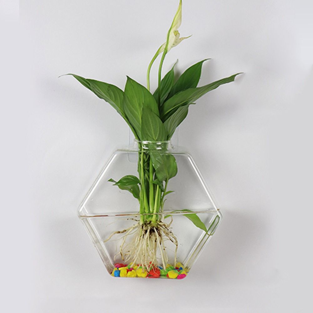 Cone Shape Wall Hanging Vase H - Aquarium Planted Wall review and price
