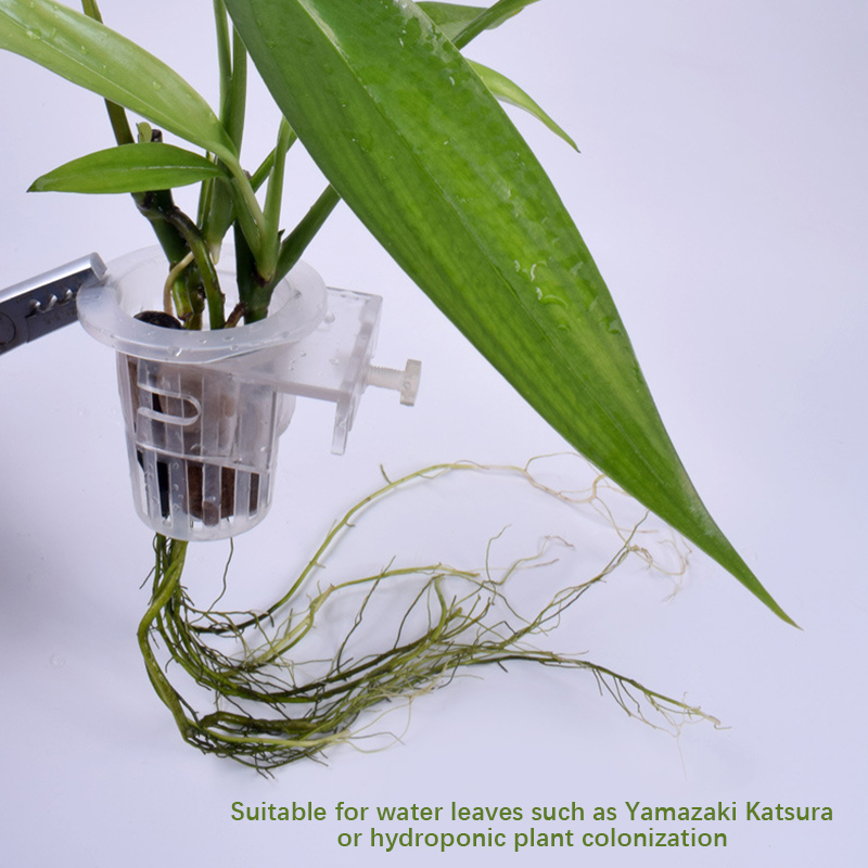 Wall Mounted Aquatic Plant Fix - Aquarium Planted Wall review and price