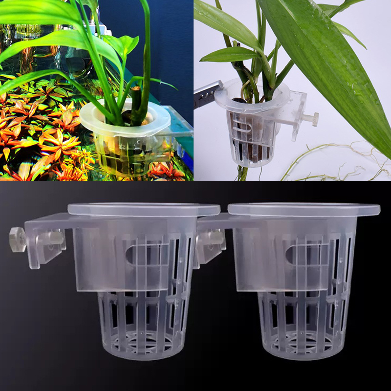 Wall Mounted Aquatic Plant Fix - Aquarium Planted Wall review and price