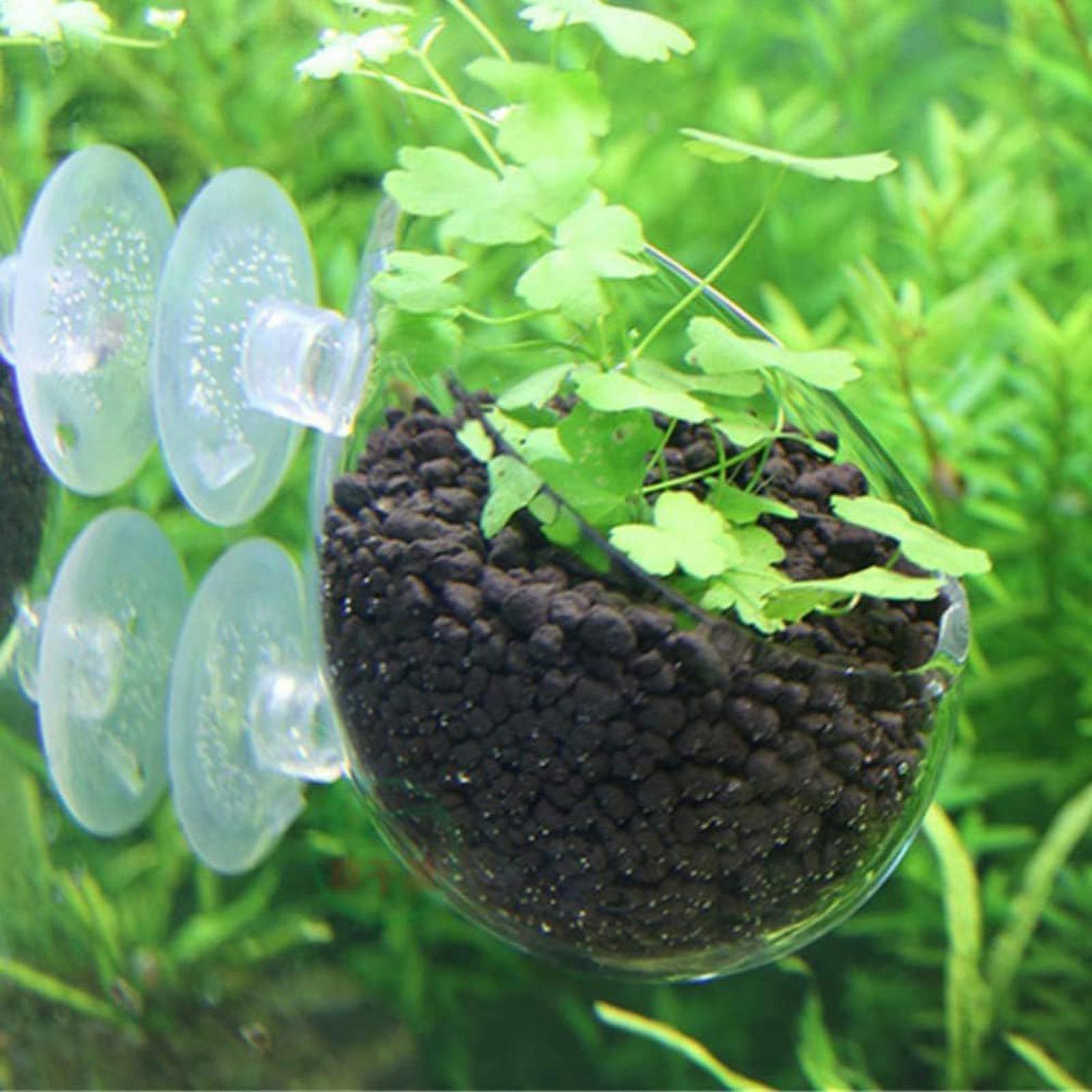 Aquarium Plant Holder Glass Aq - Planted Aquarium Media review and price