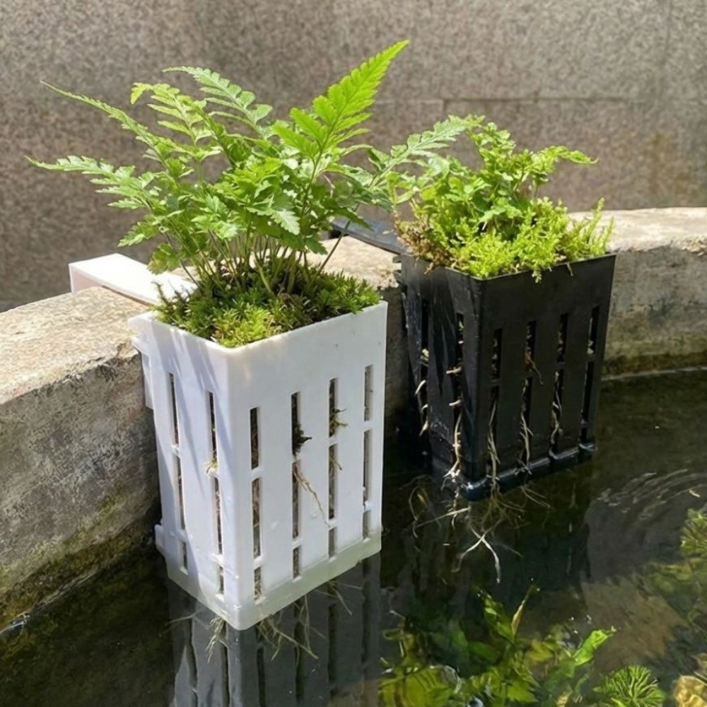 Wall-Mounted Aquarium Plant Ba - Aquarium Planted Wall review and price