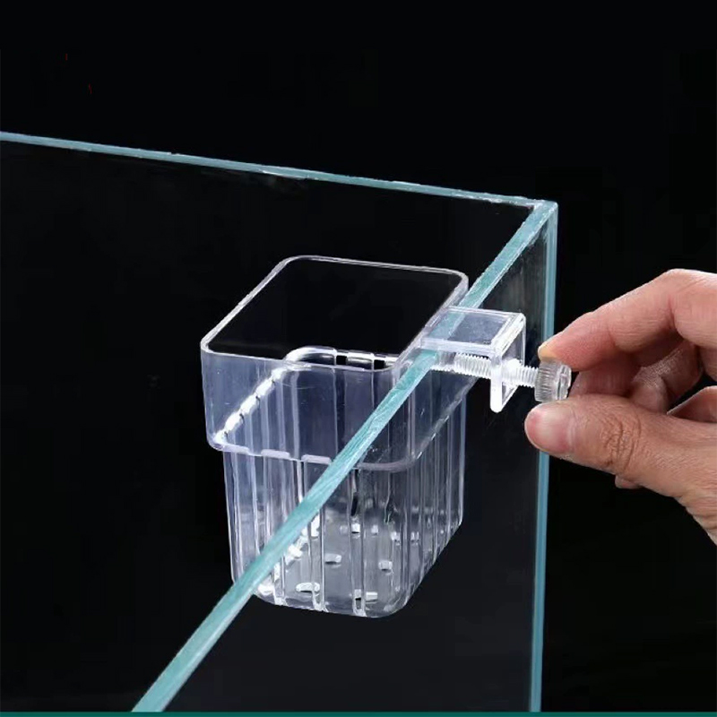 Aquarium Plant Holder Transpar - Planted Aquarium Aquascape review and price