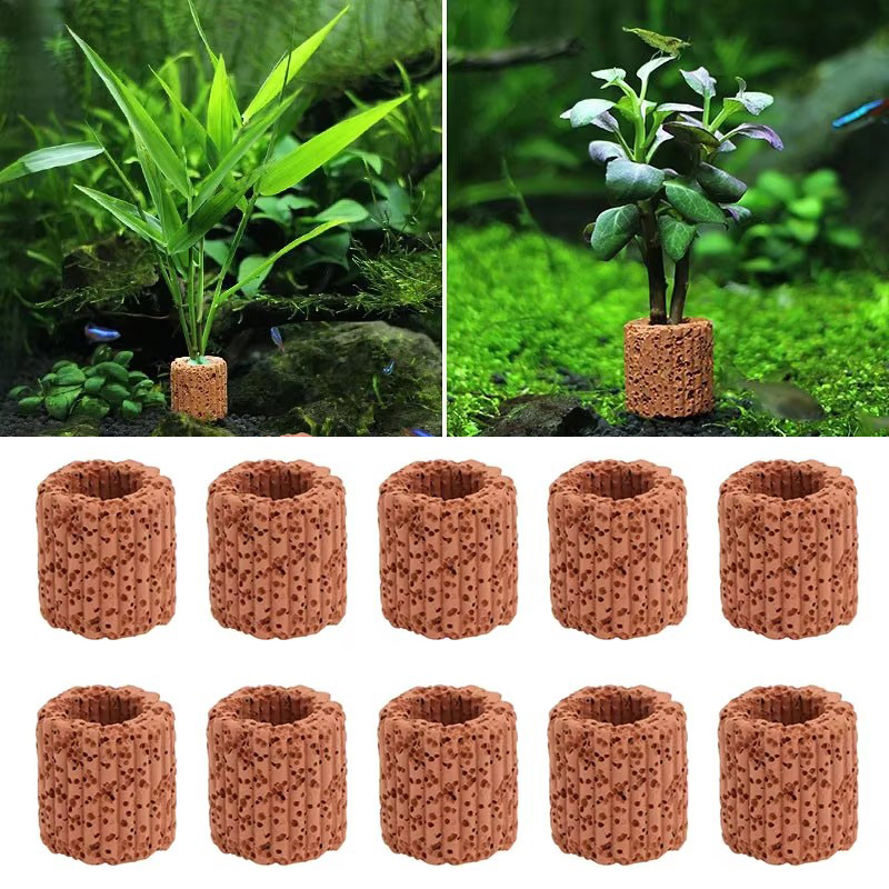 Aquatic Plant Fixed Ring for A - Planted Aquarium Products review and price