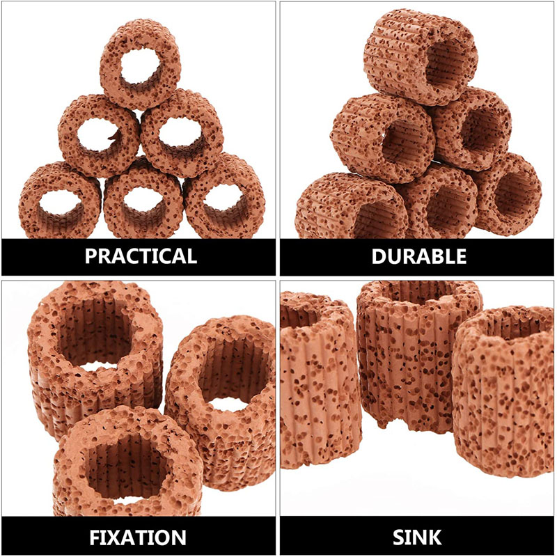 Aquatic Plant Fixed Ring for A - Planted Aquarium Products review and price