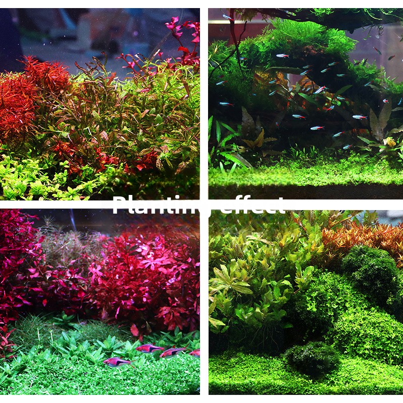 SYSENCIAGA Planted Aquarium Su - Aquarium Planted Tank Substrate review and price