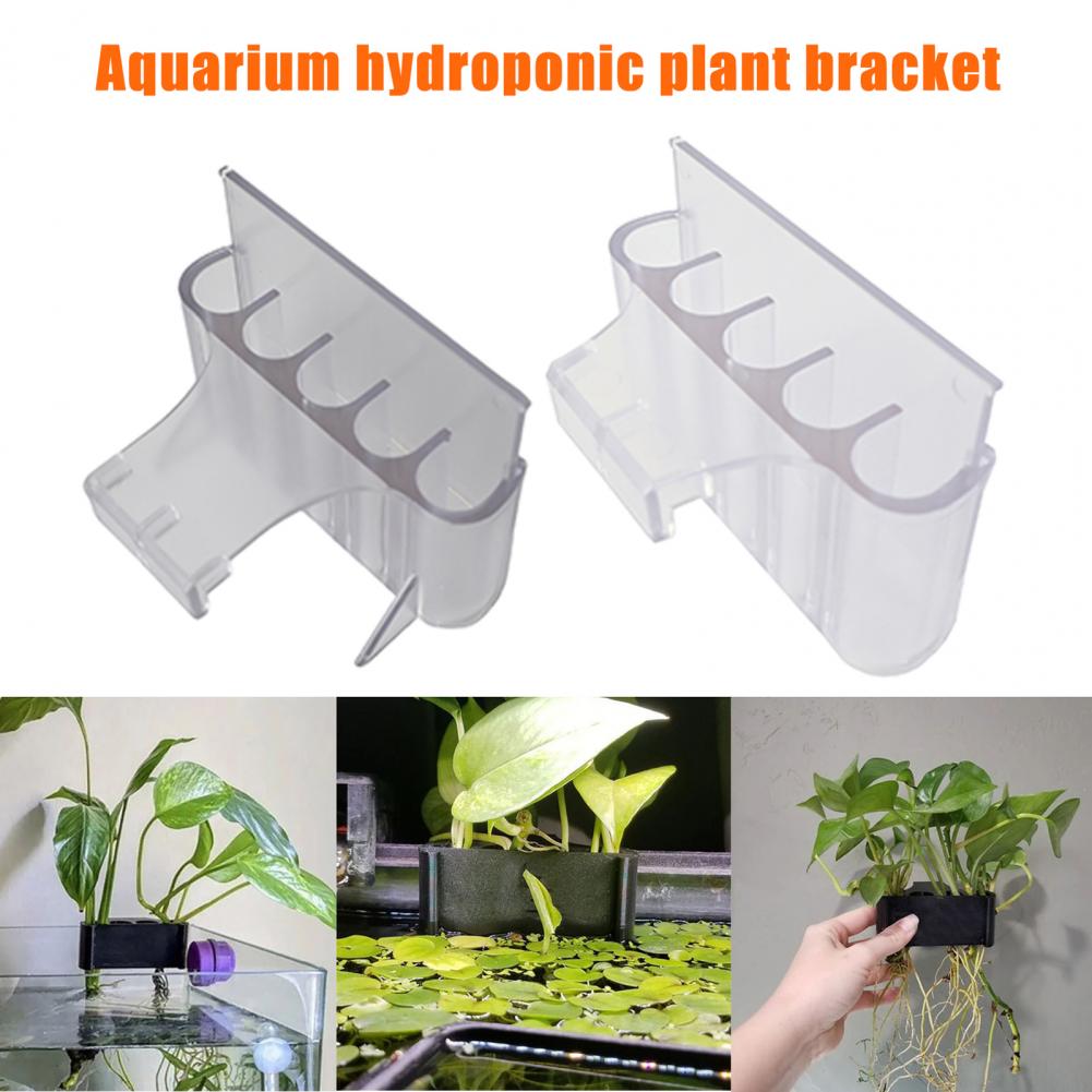 4.5/6.5cm Aquarium Plant Holde - Aquarium Plant Holder review and price