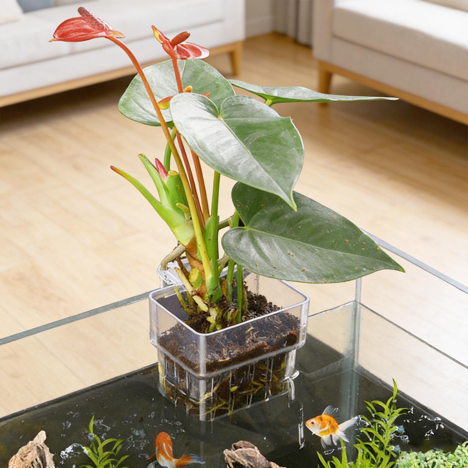 Fish Tank Fixed Basket Wall mo - Aquarium Plant Holder review and price