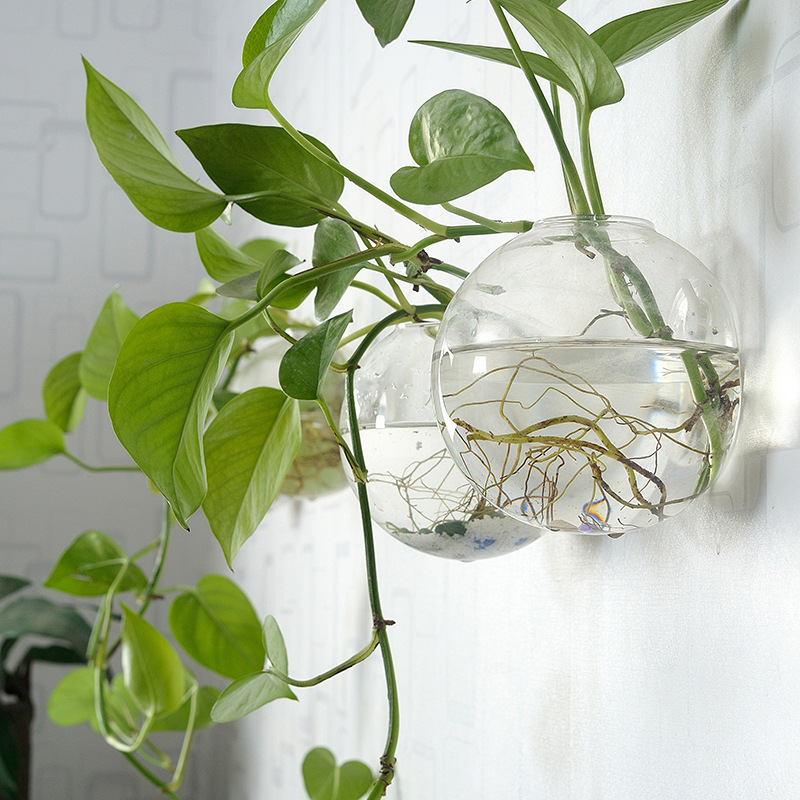 Wall Hanging Acrylic Fish Bowl - Aquarium Planted Wall review and price