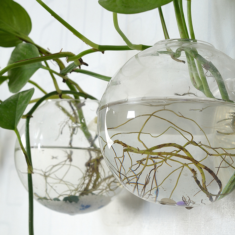 Wall Hanging Acrylic Fish Bowl - Aquarium Planted Wall review and price