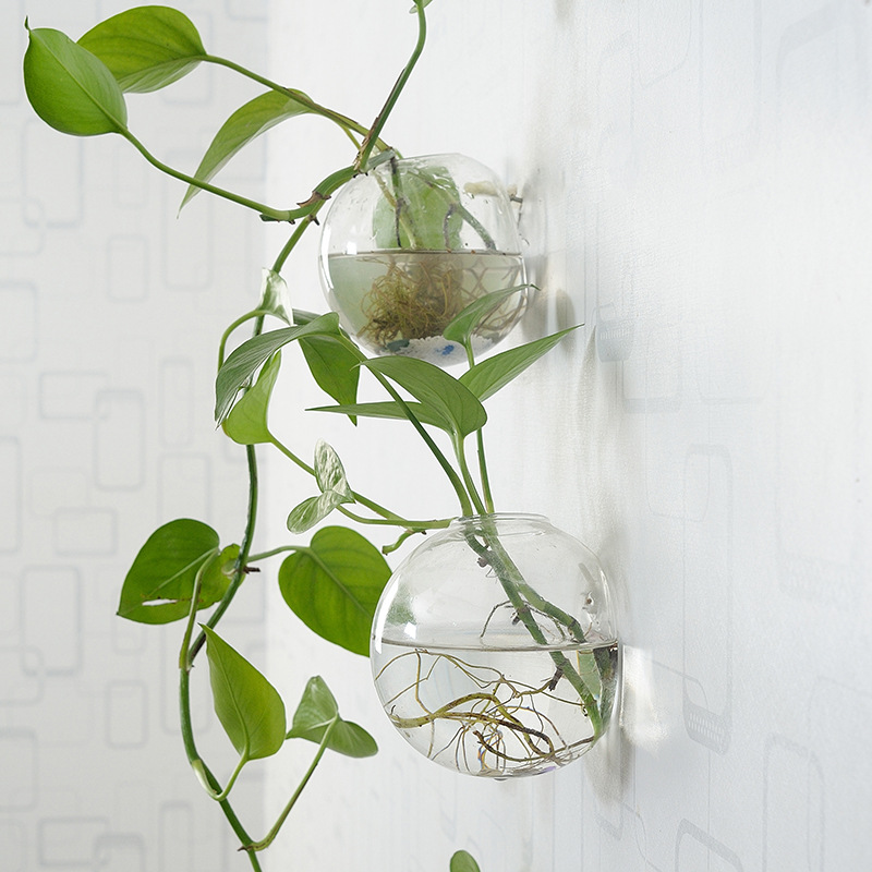 Wall Hanging Acrylic Fish Bowl - Aquarium Planted Wall review and price