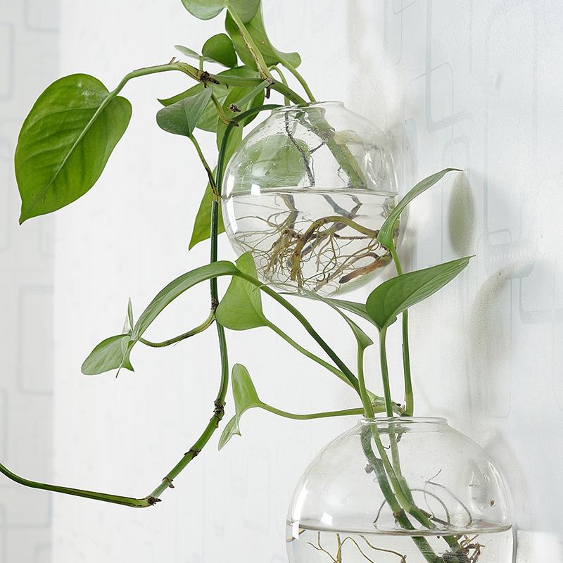 Wall Hanging Acrylic Fish Bowl - Aquarium Planted Wall review and price