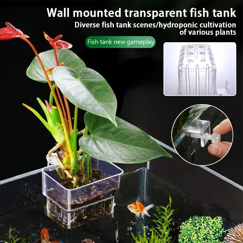Aquarium Hanging Planter Cups  - Aquarium Planted Wall review and price