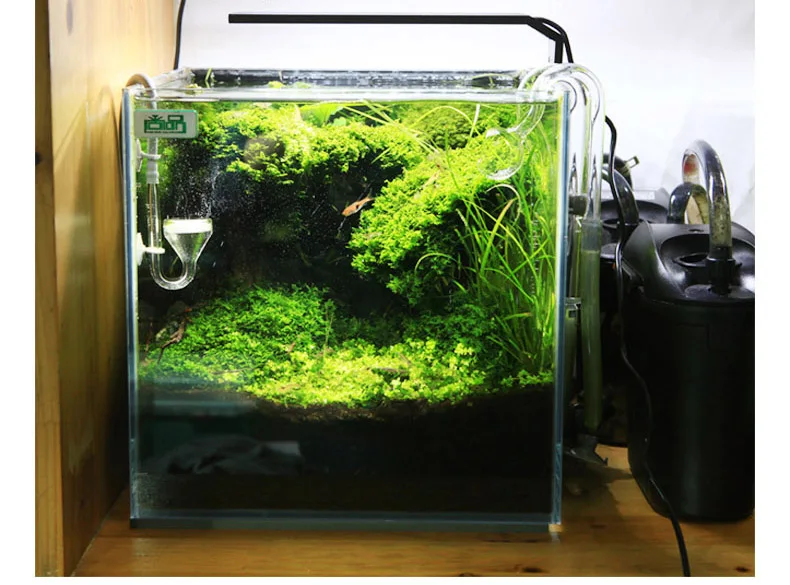 Chihiros C Series ADA Style Pl - Planted Aquarium Products review and price